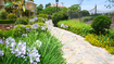/db/huizen/1249235005complex_8_tuinpad.JPG.thumb.JPG