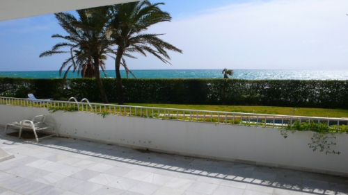 /db/huizen/1288468198terras2.JPG.thumb.JPG