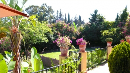 /db/huizen/1288880534TERRAS_ZICHT_OP_TUIN.JPG.thumb.JPG