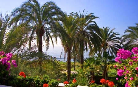 /db/huizen/1289051446view.JPG.thumb.JPG