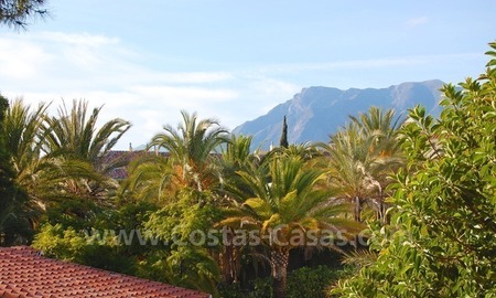 /db/huizen/1293041573view_mountain_01_108296.jpg.thumb.jpg