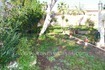 /db/huizen/1295623420garden_2_108503.jpg.thumb.jpg