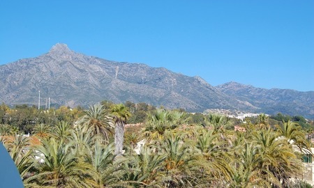 /db/huizen/1298569945view_mountain_01_108628.jpg.thumb.jpg