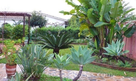 /db/huizen/1299090994garden_01_108554.jpg.thumb.jpg