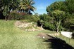 /db/huizen/1305551236garden_01_108946.jpg.thumb.jpg