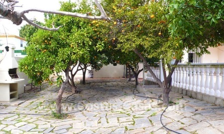 /db/huizen/1305997383terrasse1_01.jpg.thumb.jpg