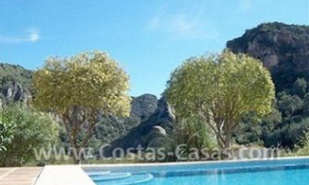 /db/huizen/1311357325pool_mountain_01_109292.jpg.thumb.jpg
