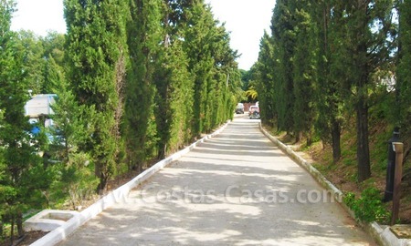 /db/huizen/1315154760driveway_01_109053.jpg.thumb.jpg