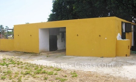 /db/huizen/1315155281barn_01_109053.jpg.thumb.jpg