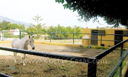 /db/huizen/1315155281barn_02_109053.jpg.thumb.jpg