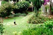/db/huizen/1315914632gardens_01_109503.jpg.thumb.jpg