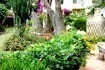 /db/huizen/1315914632gardens_02_109503.jpg.thumb.jpg