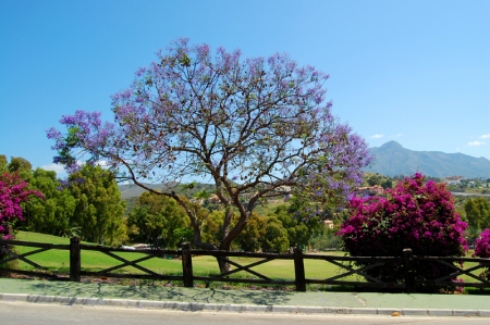 /db/huizen/1319303562street_in_la_quinta.JPG.thumb.JPG