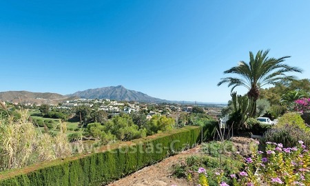 /db/huizen/1322924299mountain_01_109668.jpg.thumb.jpg