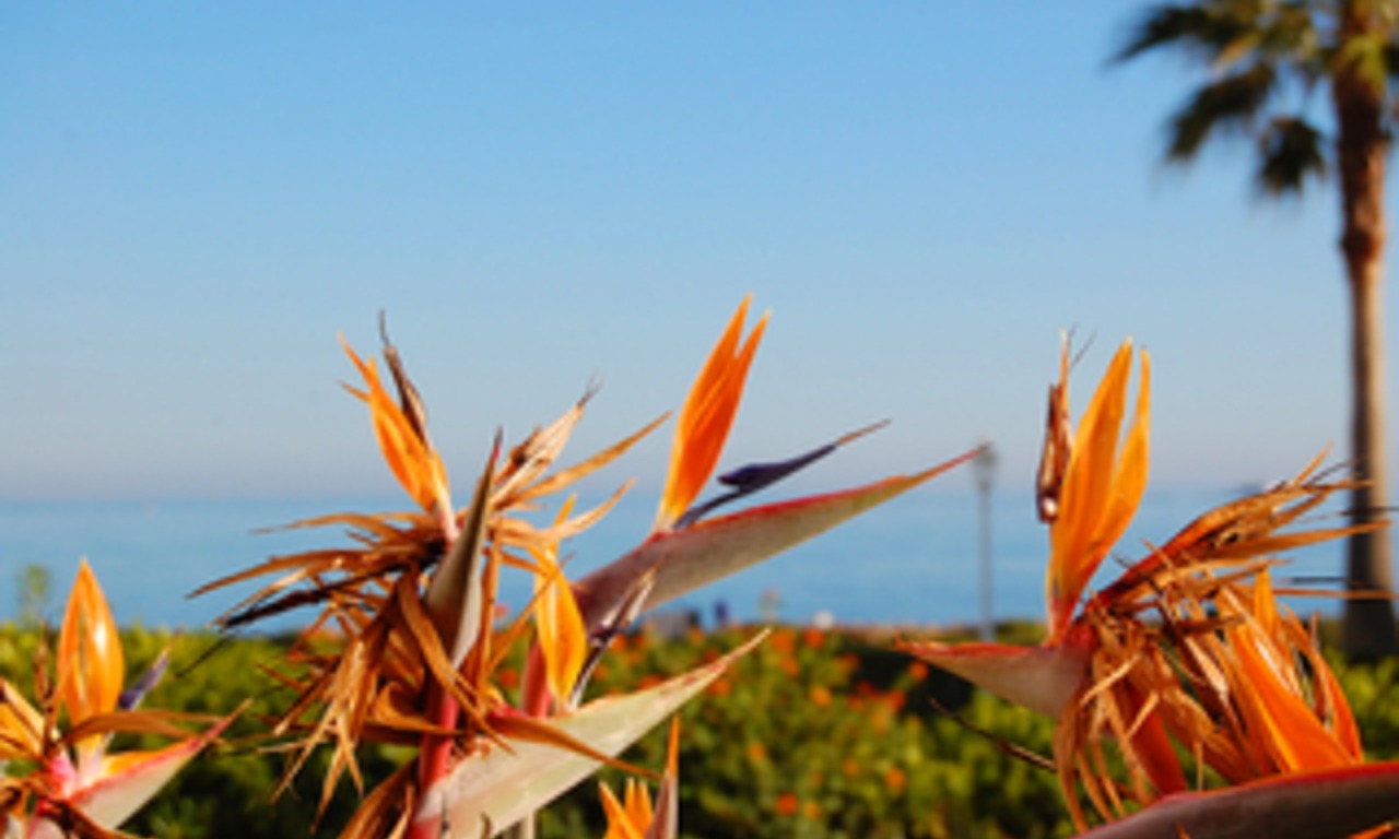 Marbella for sale: Beachfront huis te koop - Golden Mile - Marbella - Puerto Banus 2