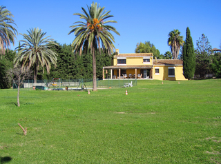 Villa, finca te koop op groot grondstuk - Estepona - Costa del Sol - Zuid-Spanje