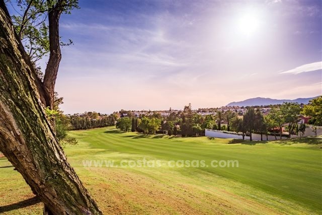 Koopje! Prachtige eerstelijns golf villa te koop in San Pedro, Marbella 10805