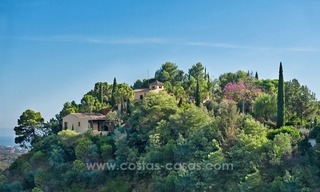 Luxe villa te koop met volledige privacy in El Madroñal, Benahavis – Marbella 0