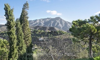 Klassieke landelijke villa te koop in El Madroñal te Benahavis - Marbella 4