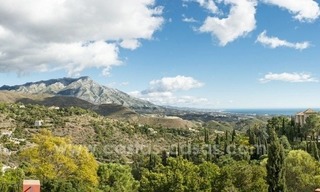 Klassieke landelijke villa te koop in El Madroñal te Benahavis - Marbella 24