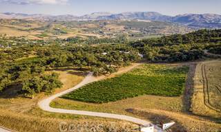 Wijngaard – landgoed met een villa in een moderne stijl te koop nabij Ronda in Andalusië 29147 