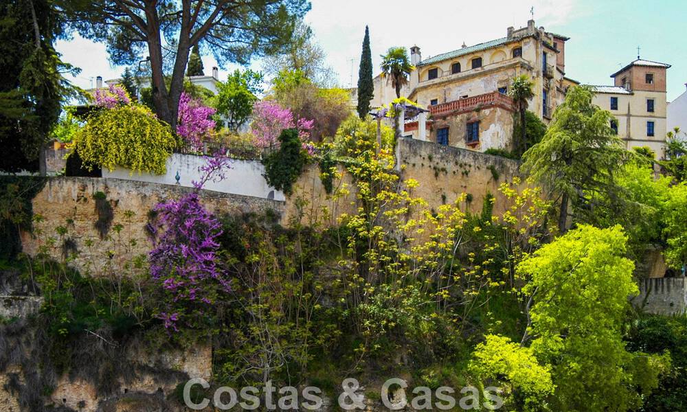 Wijngaard – landgoed met een villa in een moderne stijl te koop nabij Ronda in Andalusië 29331