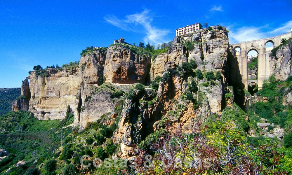 Wijngaard – landgoed met een villa in een moderne stijl te koop nabij Ronda in Andalusië 29334