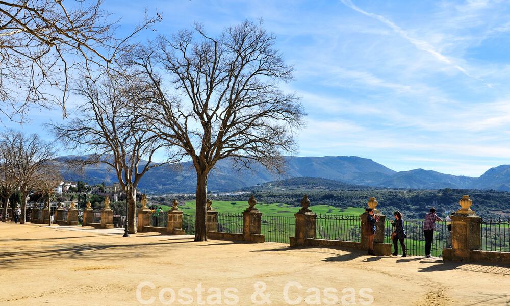 Wijngaard – landgoed met een villa in een moderne stijl te koop nabij Ronda in Andalusië 29335