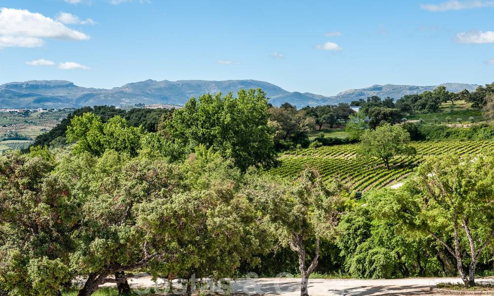 Wijngaard – landgoed met een villa in een moderne stijl te koop nabij Ronda in Andalusië 33822