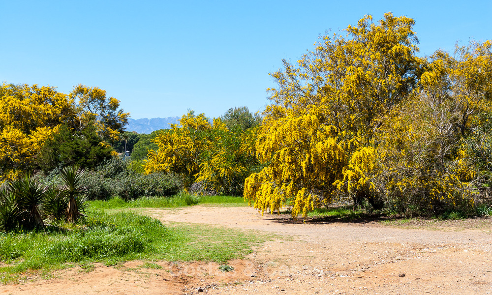 Charmante Spaanse luxevilla te koop, omgeven door natuurschoon en grenzend aan het duinenstrand in Marbella 49714