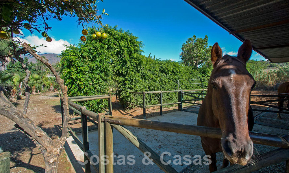 Finca met paardenstallen te koop op korte afstand van Estepona centrum, Costa del Sol 61063