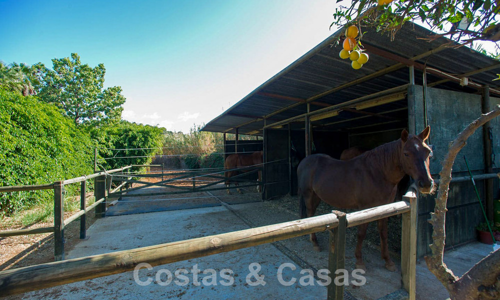 Finca met paardenstallen te koop op korte afstand van Estepona centrum, Costa del Sol 61066
