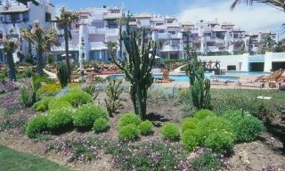 Beachfront appartement en Penthouse te koop, Puerto Banus Marbella 2